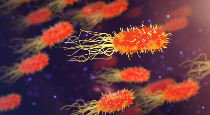 nanoparticules or antibiotique