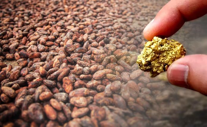 cacao-or